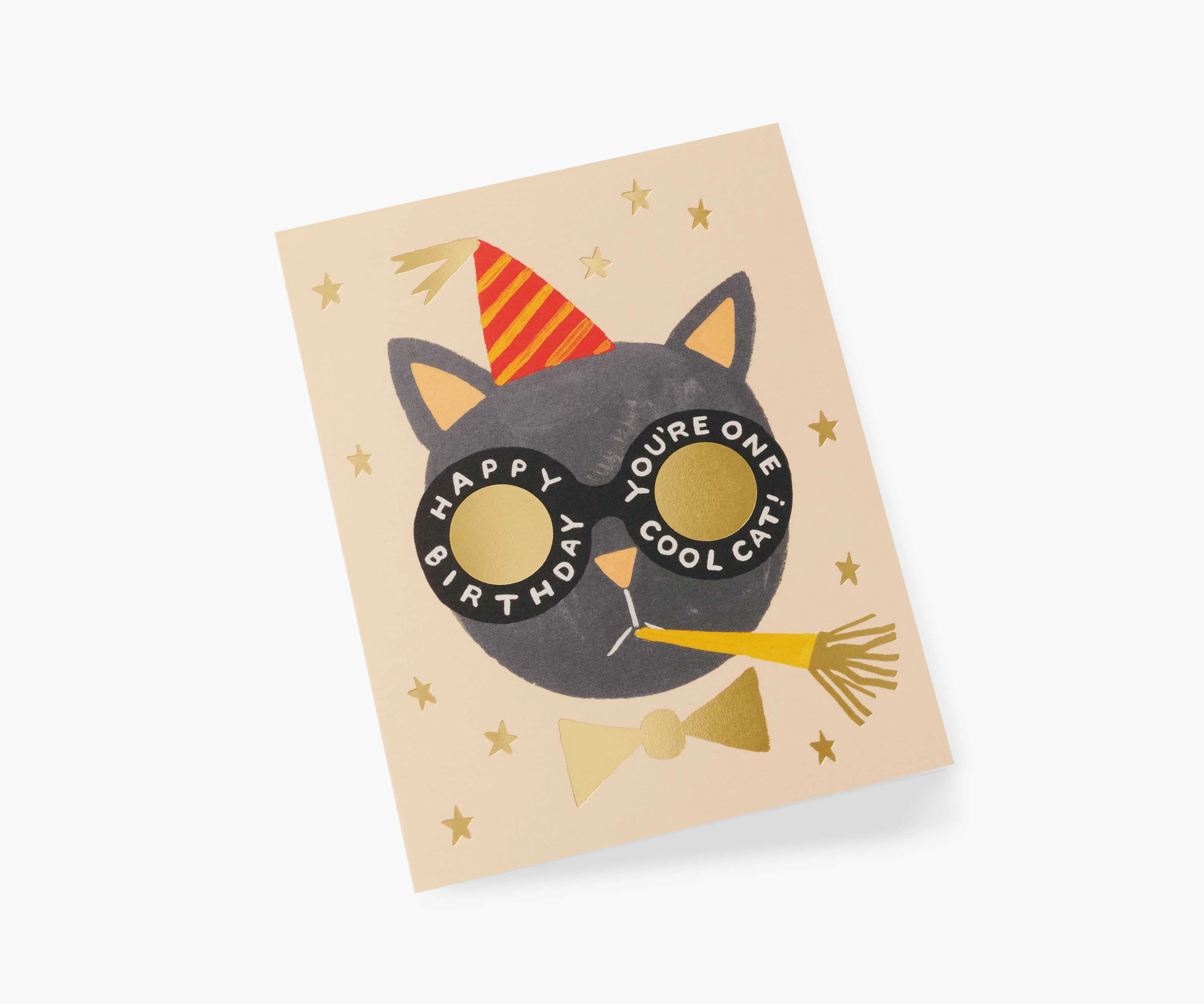 Birthday Cat Greeting Card